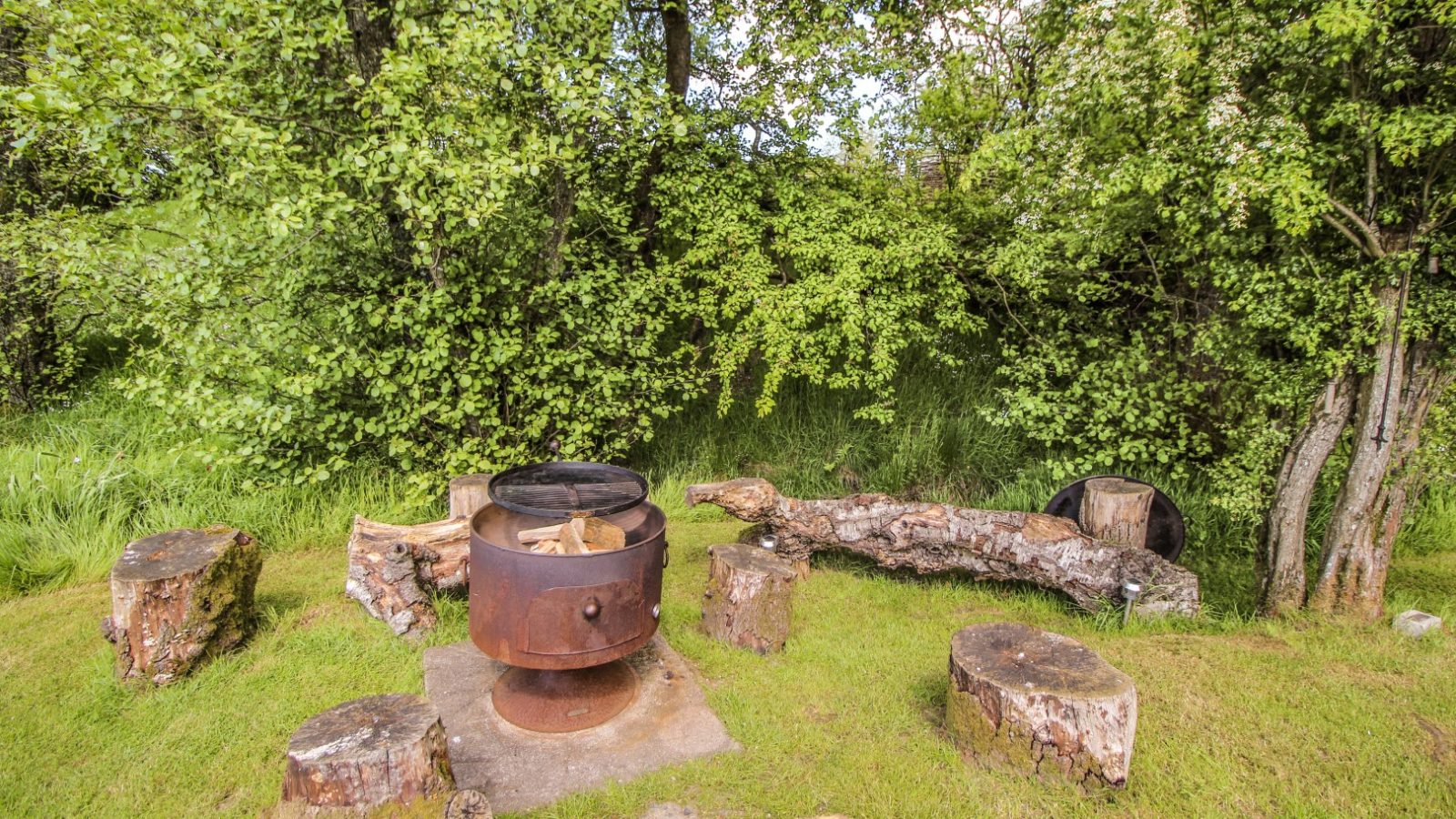 At the Stellar Safari Lodge, a rustic fire pit with logs and tree stump seats offers a cozy retreat amidst lush greenery.