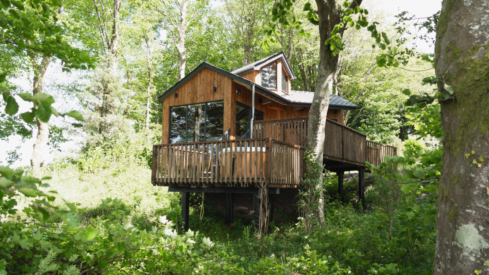 Cuckoos Hideaway is a charming wooden treehouse with large windows and a balcony, nestled amidst lush green trees and foliage in a serene forested area.