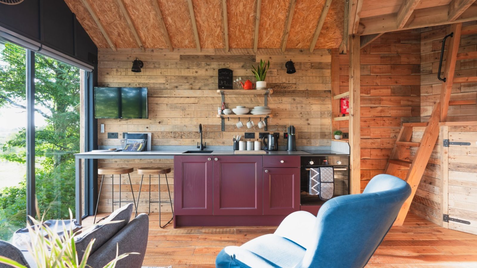 Rustic kitchen in Cuckoos Hideaway features wooden walls, a purple cabinet, and a blue chair, all framing a window view of lush greenery. Shelves display an array of dishes and thriving plants.