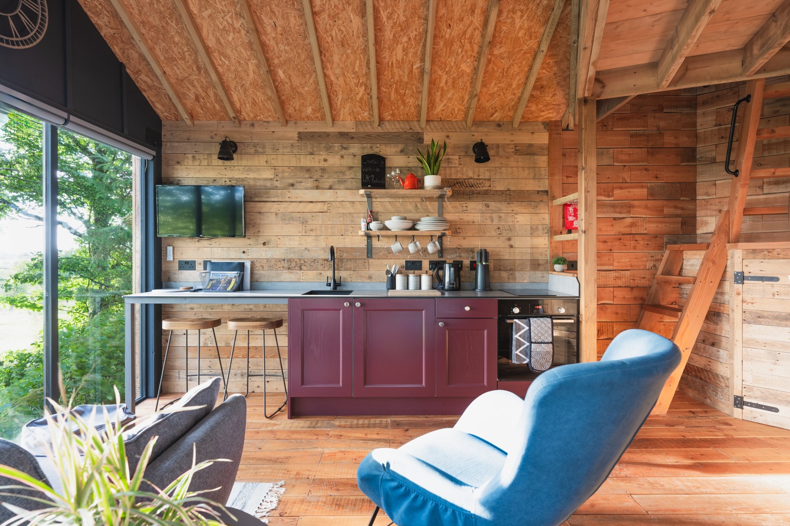 Rustic kitchen in Cuckoos Hideaway features wooden walls, a purple cabinet, and a blue chair, all framing a window view of lush greenery. Shelves display an array of dishes and thriving plants.