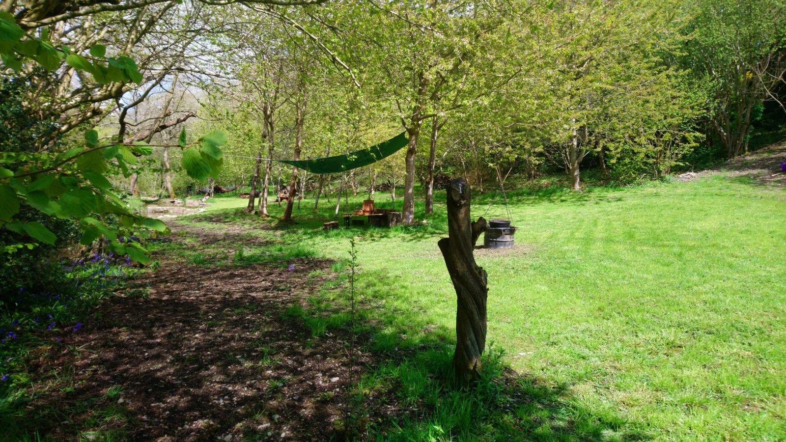 A lush green meadow bordered by trees, where the iconic Caban Eric wooden sculpture stands proudly in the foreground. In the background, a hammock is stretched between trees beside a picnic table. Sunlight filters through the leaves, casting dappled shadows on this serene landscape.