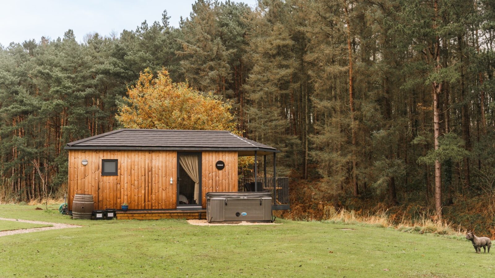 Nestled in a grassy area surrounded by tall trees, this riverside cabin features a cozy hot tub, with a playful dog standing nearby.