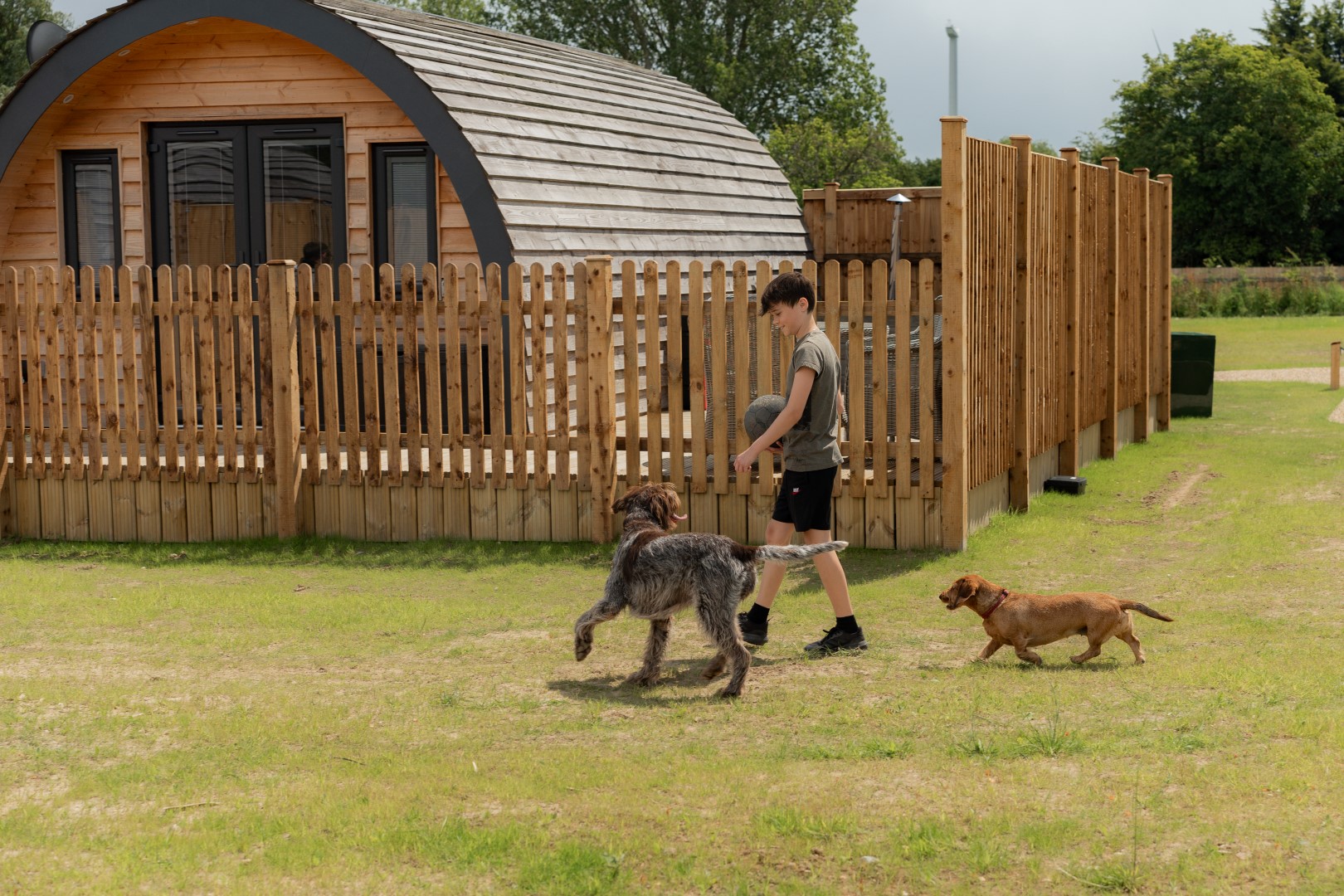 In a picturesque September UK staycation scene, a person strolls with two dogs across a grassy field near a wooden cabin fence.