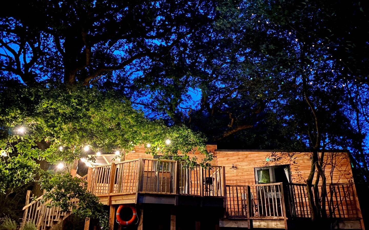 Beneath the branches, a charming wooden treehouse glows in the night, nestled among trees and adorned with twinkling string lights. Elevated gracefully, it boasts a cozy deck perfect for stargazing.