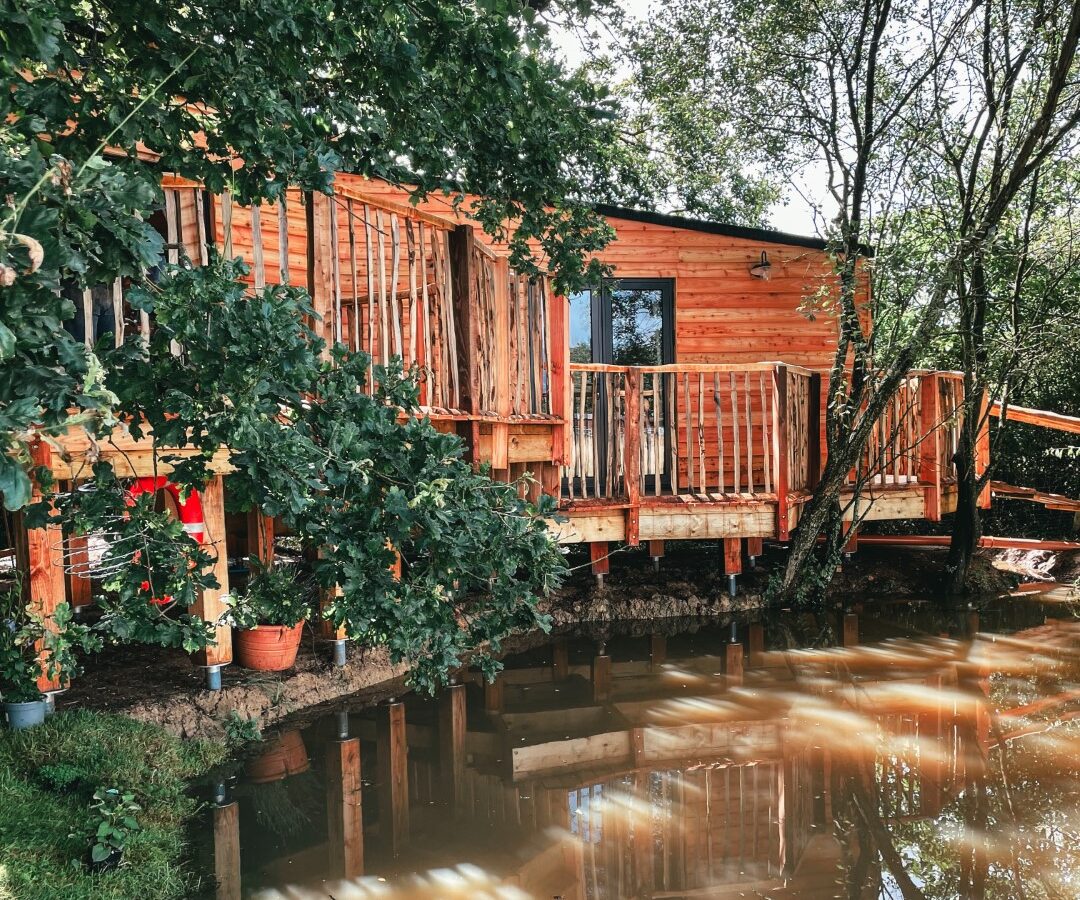 Beneath the branches, a wooden cabin stands elevated on stilts over a calm body of water, surrounded by lush green trees and foliage.