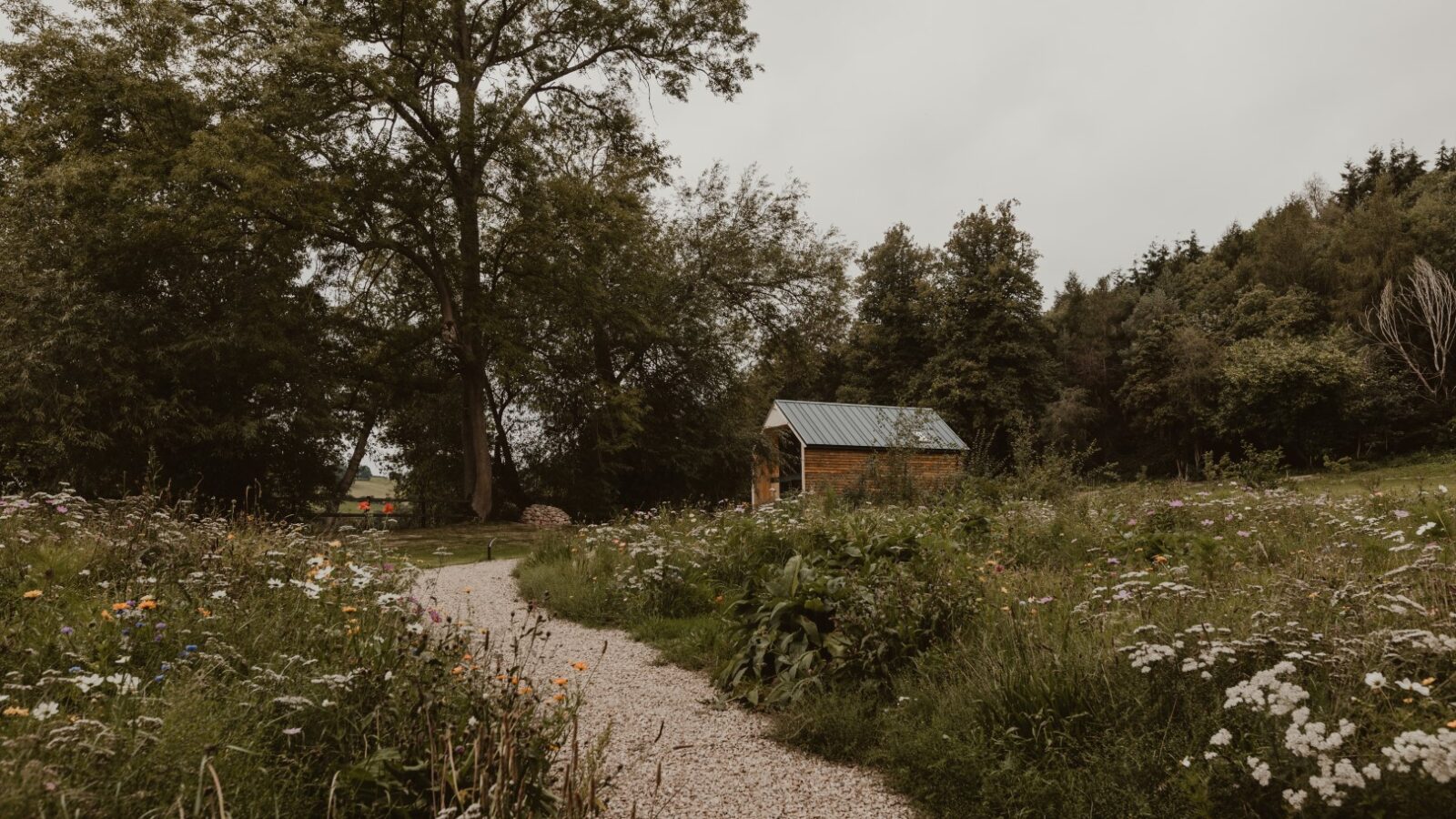 A small wooden cabin with a metal roof sits near a winding gravel path, reminiscent of a quaint boat house, surrounded by wildflowers and trees under an overcast sky.