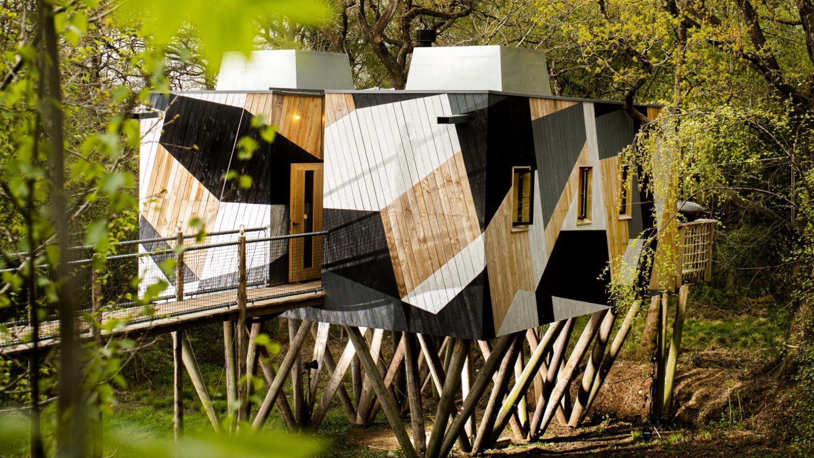 The Dazzle Treehouse is a modern retreat with geometric patterns, elegantly elevated on stilts and nestled amidst leafy trees in a serene wooded area.