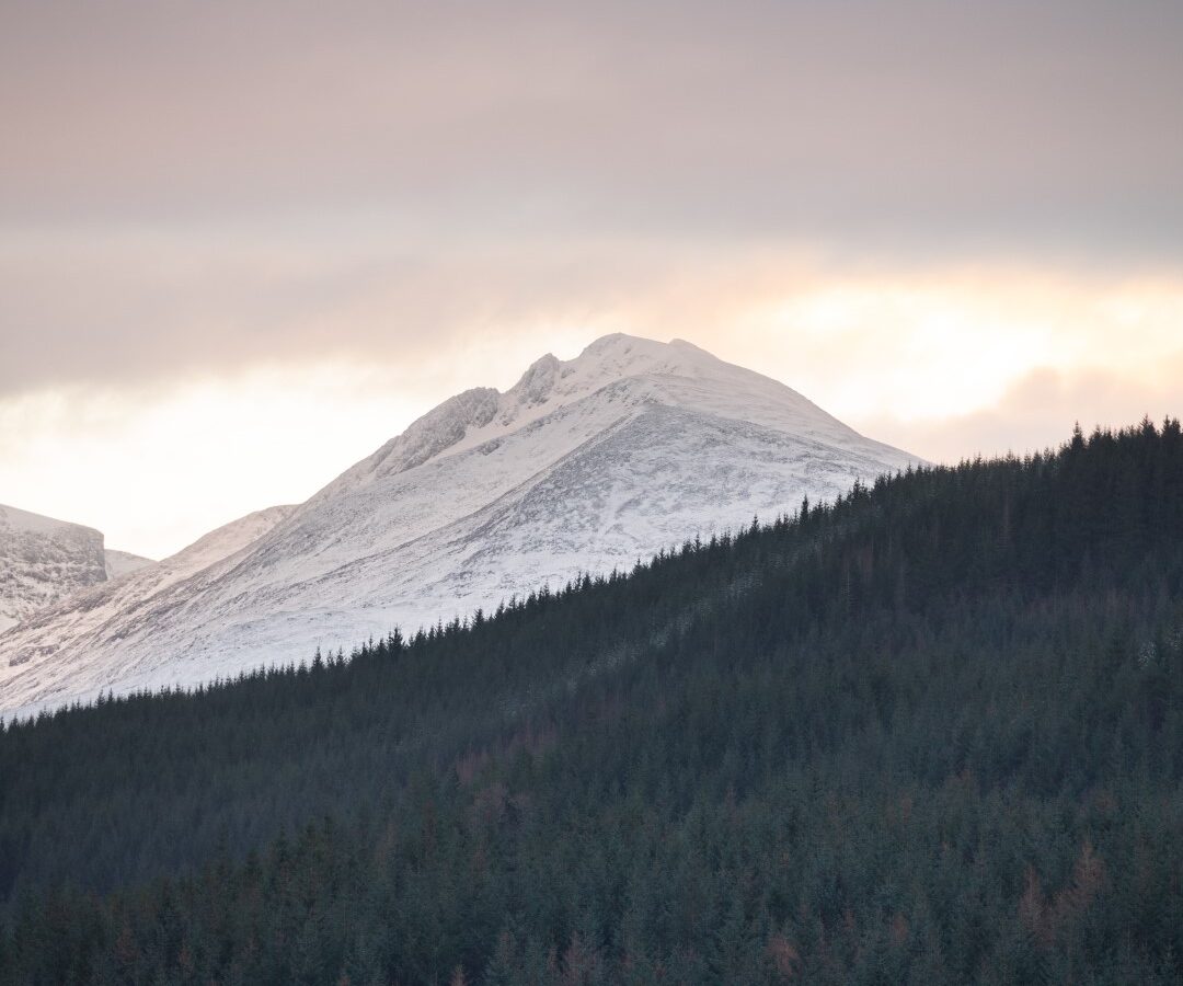 A snow-covered mountain peak towers under a cloudy sky, captured beautifully like an illustration from Frances Sketch Pad, with a dense forest adding depth to the scene.