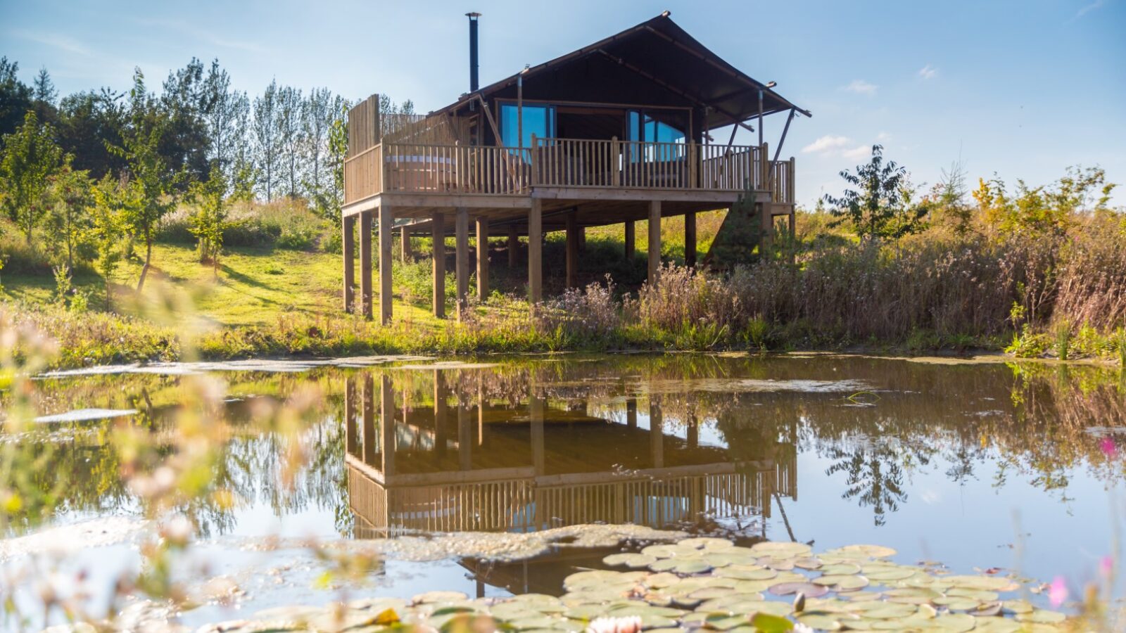 A wooden cabin on stilts is reflected in a pond with lily pads, offering a perfect glamping experience amidst trees and greenery under a clear sky.