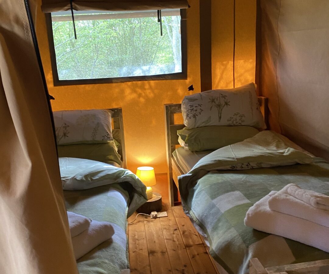 A cozy safari tent interior with two wooden beds, green bedding, a small lamp on the floor, and a window revealing the lush Chilterns View outside.