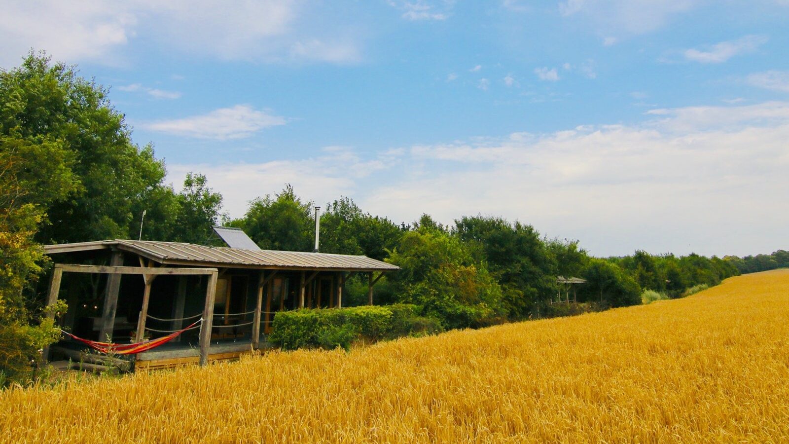 A wooden cabin with a red hammock is nestled among trees, next to a golden wheat field under a clear blue sky. This serene escape, reminiscent of the cozy lodges at Chilterns View, offers tranquility and natural beauty in perfect harmony.