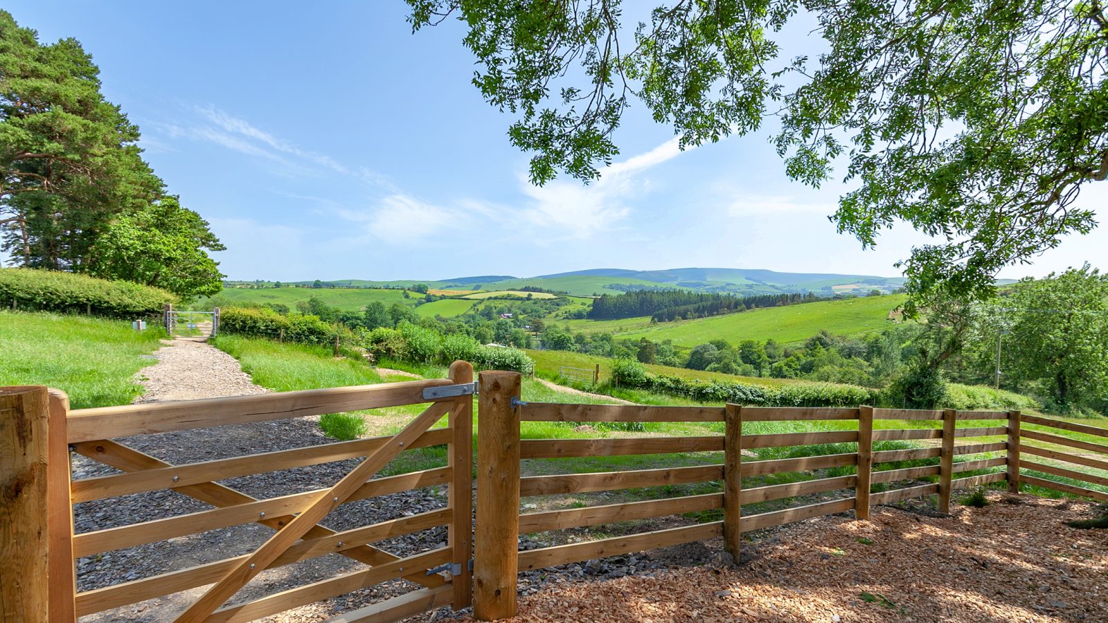 A scenic countryside view with a wooden gate in the foreground leads to a path. Rolling green hills and trees, including the majestic Cadwollen Treehouse, stretch into the distance under a clear blue sky. The sunlit scene is tranquil and inviting.