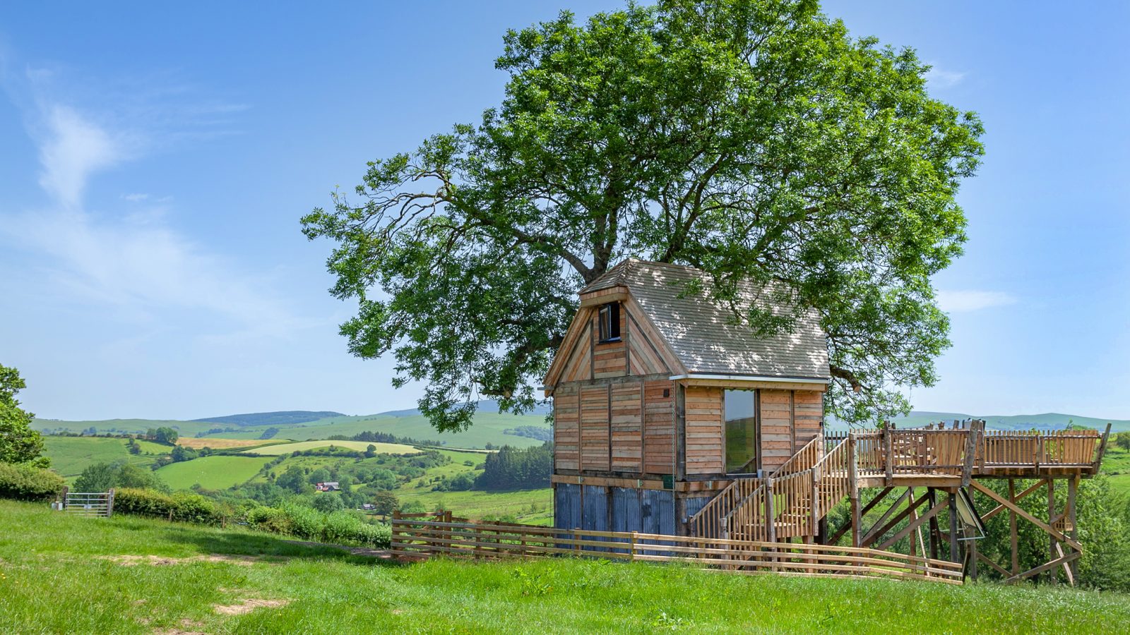 The Cadwollen Treehouse, a unique lodging experience, is nestled around a large tree in a lush green landscape with rolling hills and a clear blue sky. A wooden deck extends from this charming treehouse accommodation, offering panoramic views of the scenic countryside.