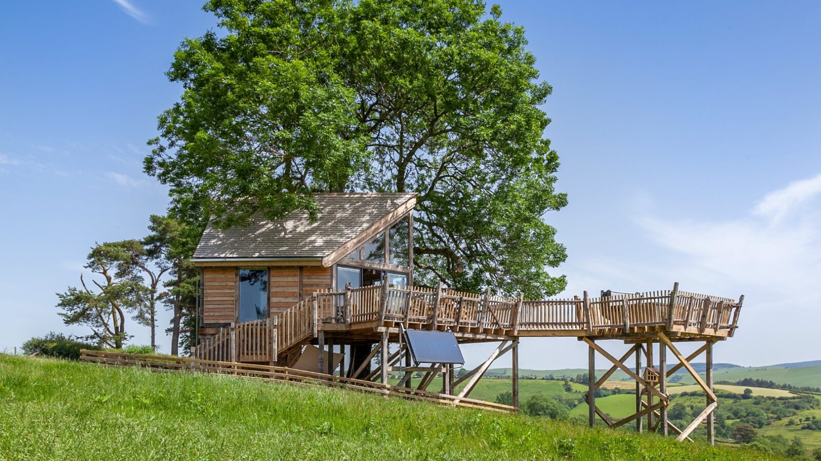 The Cadwollen Treehouse boasts large windows and a wraparound deck, perched on stilts amidst a grassy hillside with a majestic tree as its backdrop.