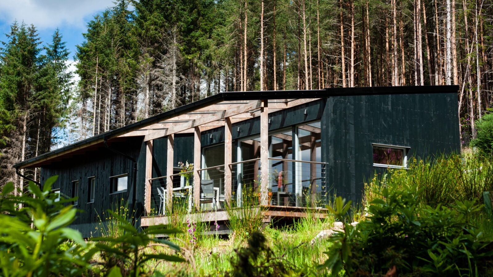 Nestled within a serene ecotone, the black wooden cabin boasts large windows that offer stunning views of lush foliage and towering trees beneath a partly cloudy sky.