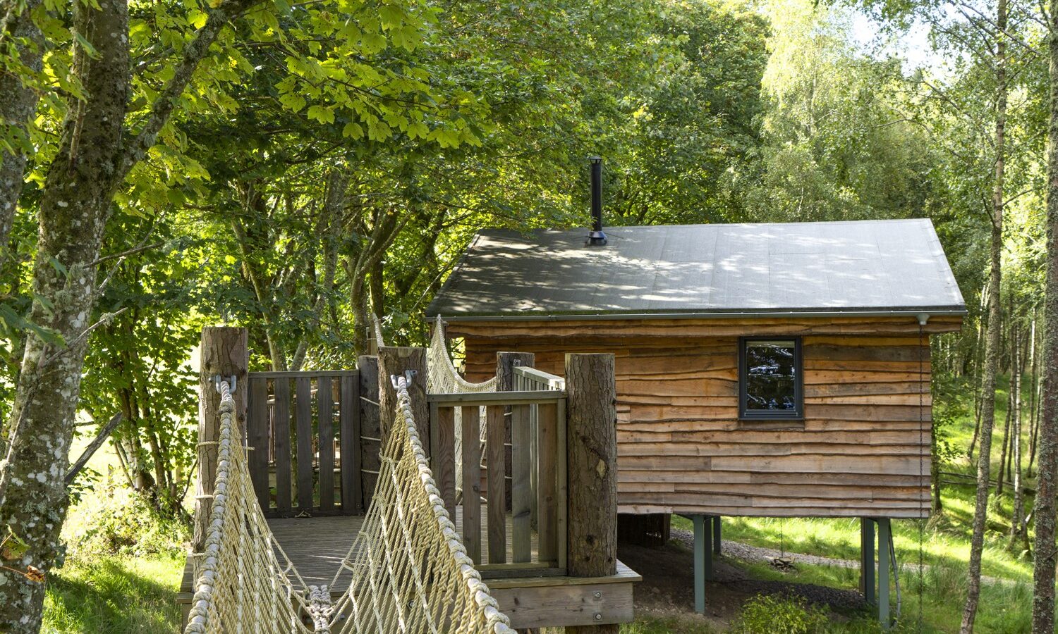 A wooden treehouse with a sloped roof and small window, resembling a flycatcher's nest, connected by a rope bridge and surrounded by lush green trees.