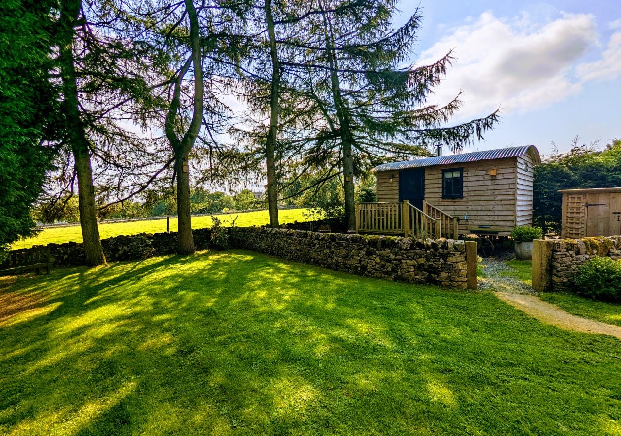 A small wooden cabin with a metal roof, reminiscent of Smithyfields' Shepherds Huts, is nestled among tall trees in a grassy yard. A stone wall separates the yard from a rolling, sunlit field in the background. The scene is tranquil with clear skies and a few scattered clouds.