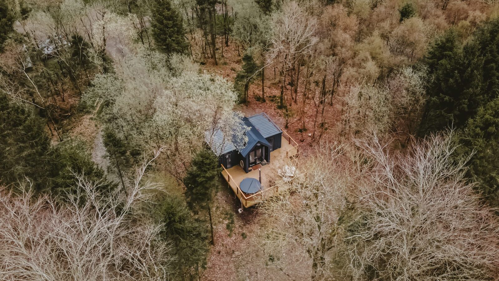 Aerial view of a small cabin with a deck nestled amid dense trees during early spring at Porth Eryri, showcasing mixed green and brown foliage—a perfect glamping retreat.