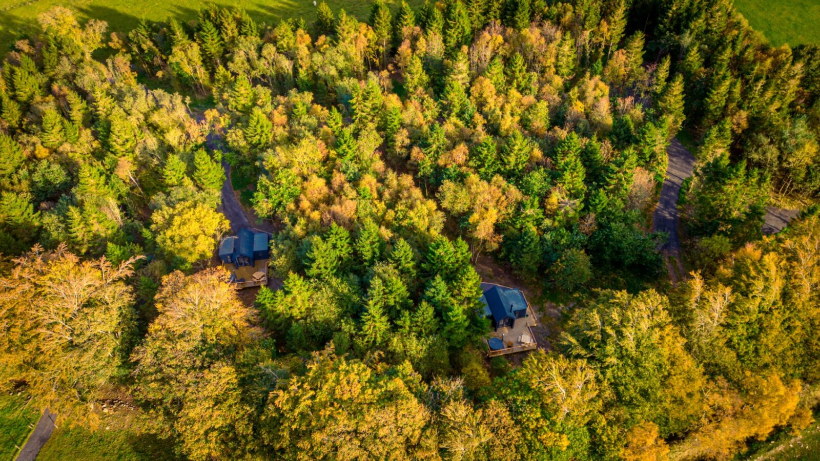 Aerial view of two charming houses surrounded by dense, colorful autumn foliage in a forested area, with a road nearby—perfect for those seeking the cozy escape of Porth Eryri Glamping.