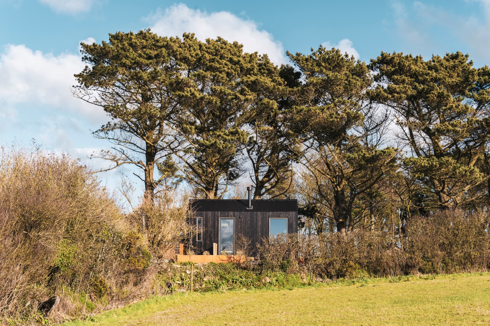 A small black cabin is nestled among tall trees and shrubs on a grassy field under a blue sky, making it one of the best places to stay in Cornwall with a dog.