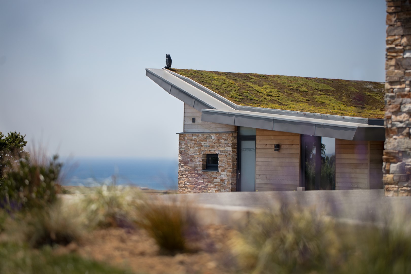 Modern house with a green roof, ocean view, and stone wall, perfect for a relaxing getaway. Surrounded by lush vegetation and blurred flowers in the foreground, it's one of the best places to stay in Cornwall with a dog. Ideal for families visiting holiday cottages near Eden Project.