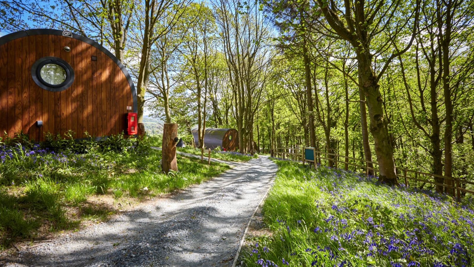 Pathway through Catgill Farm's wooded area, with wooden cabins, surrounded by green foliage and blooming purple flowers.