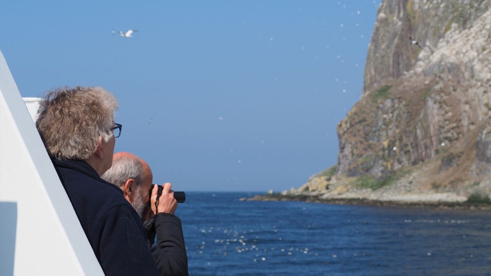 Two people on a boat with Argyll Cruising observe seabirds near a rocky coastline under a clear blue sky.