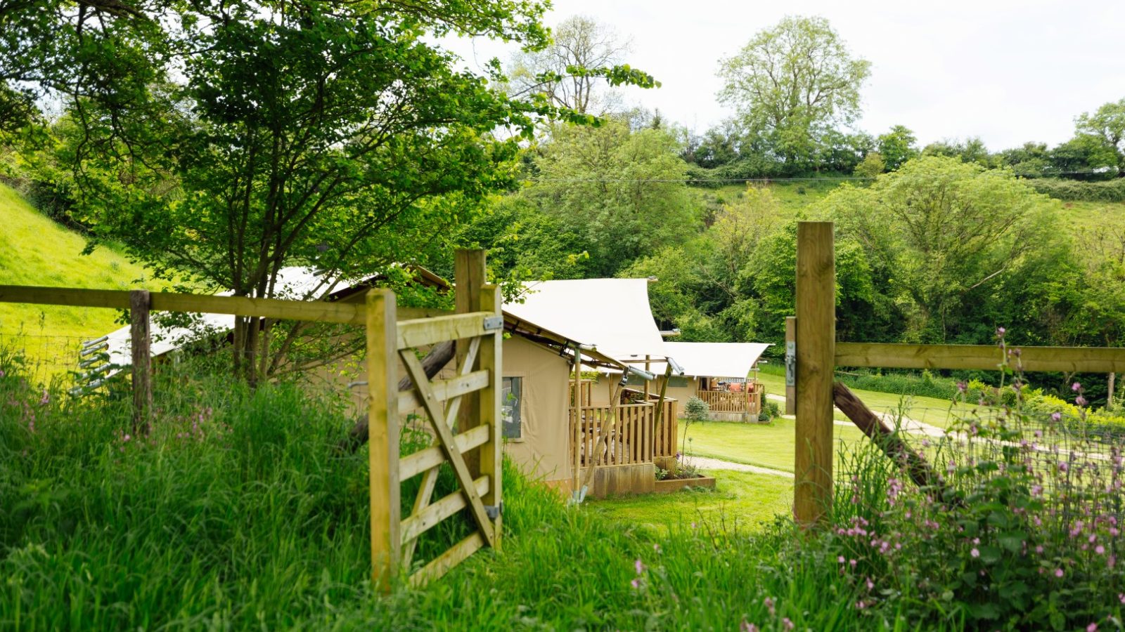 A scenic view of a glamping campsite in Hadspen's lush, green setting. A wooden fence and gate lead to a canvas tent with an awning, surrounded by tall grass and trees under a cloudy sky. Hills and more trees are visible in the background.