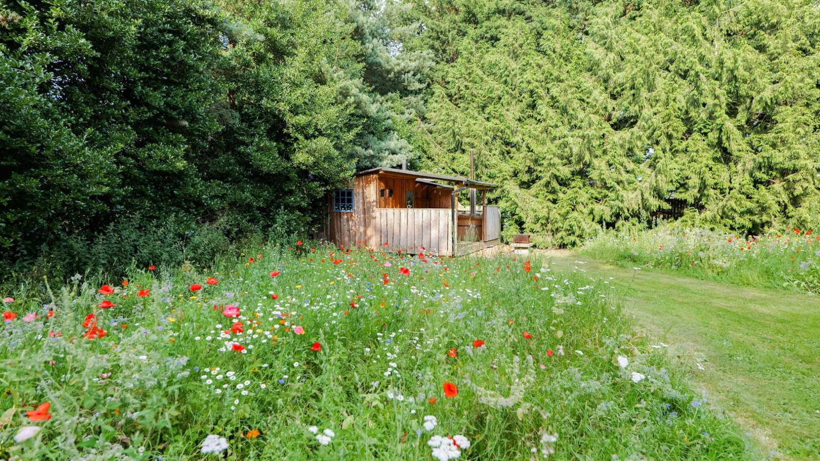 A small wooden shed is nestled amidst the lush greenery of Lahtle Wood. In the foreground, a vibrant meadow brimming with red, white, and yellow wildflowers creates a picturesque glamping scene under a clear sky, embodying serenity and nature's pure charm.