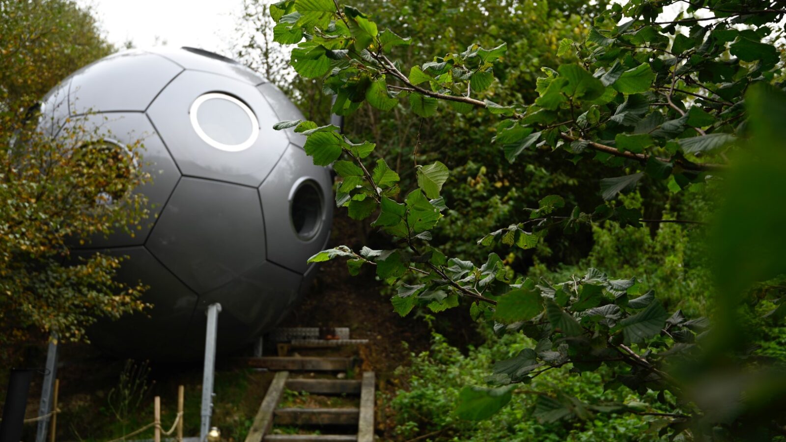 Nestled in the heart of nature, the Red Kite Glamping pod features a spherical design with circular windows, offering panoramic views of the lush greenery. Accessible by charming stairs, this unique retreat invites you to unwind amidst towering trees and serene surroundings.