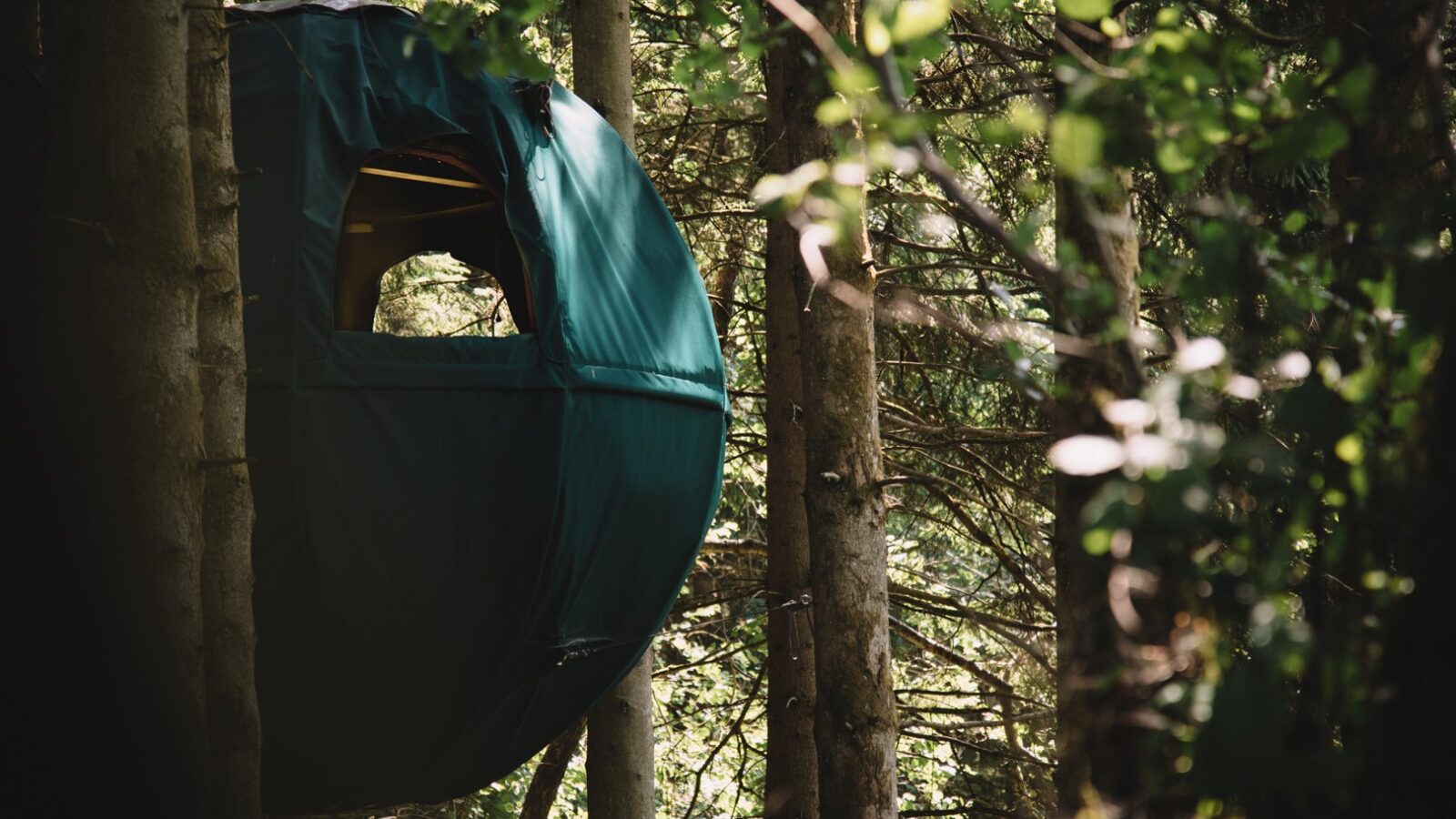 A round tent suspended among trees in a forested area, with sunlight filtering through the leaves, offers the perfect glamping experience. At Red Kite Glamping, embrace the serenity of nature and immerse yourself in what we like to call chillderness—where tranquility meets adventure.