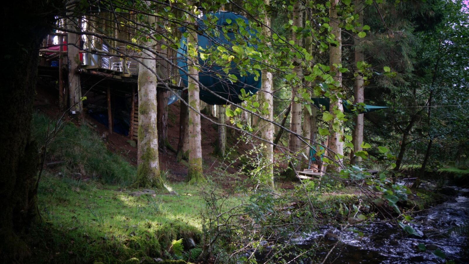 Nestled among tall trees by a flowing stream, the treehouse with its blue tarp offers a serene escape. Experience Chillderness at its finest, where nature meets tranquility in this unique glamping retreat.