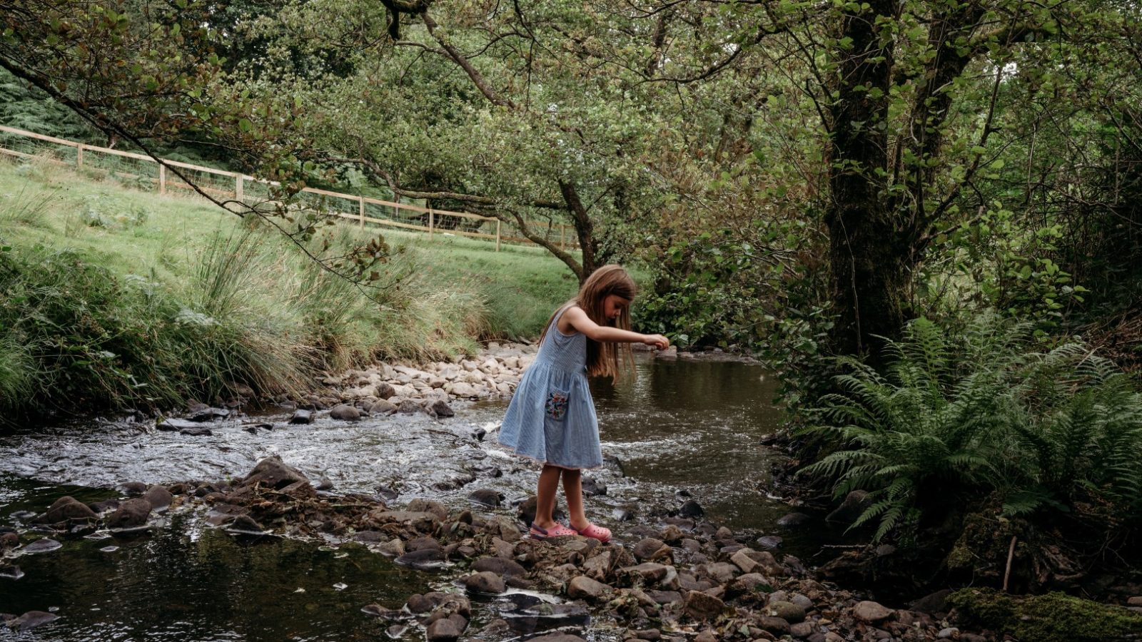 A young girl in a blue dress and pink shoes stands on rocks at the edge of a flowing stream, bending to observe the water. Surrounded by greenery and trees near Cwm Chwefru Cottages, a grassy field and wooden fence complete this serene landscape.