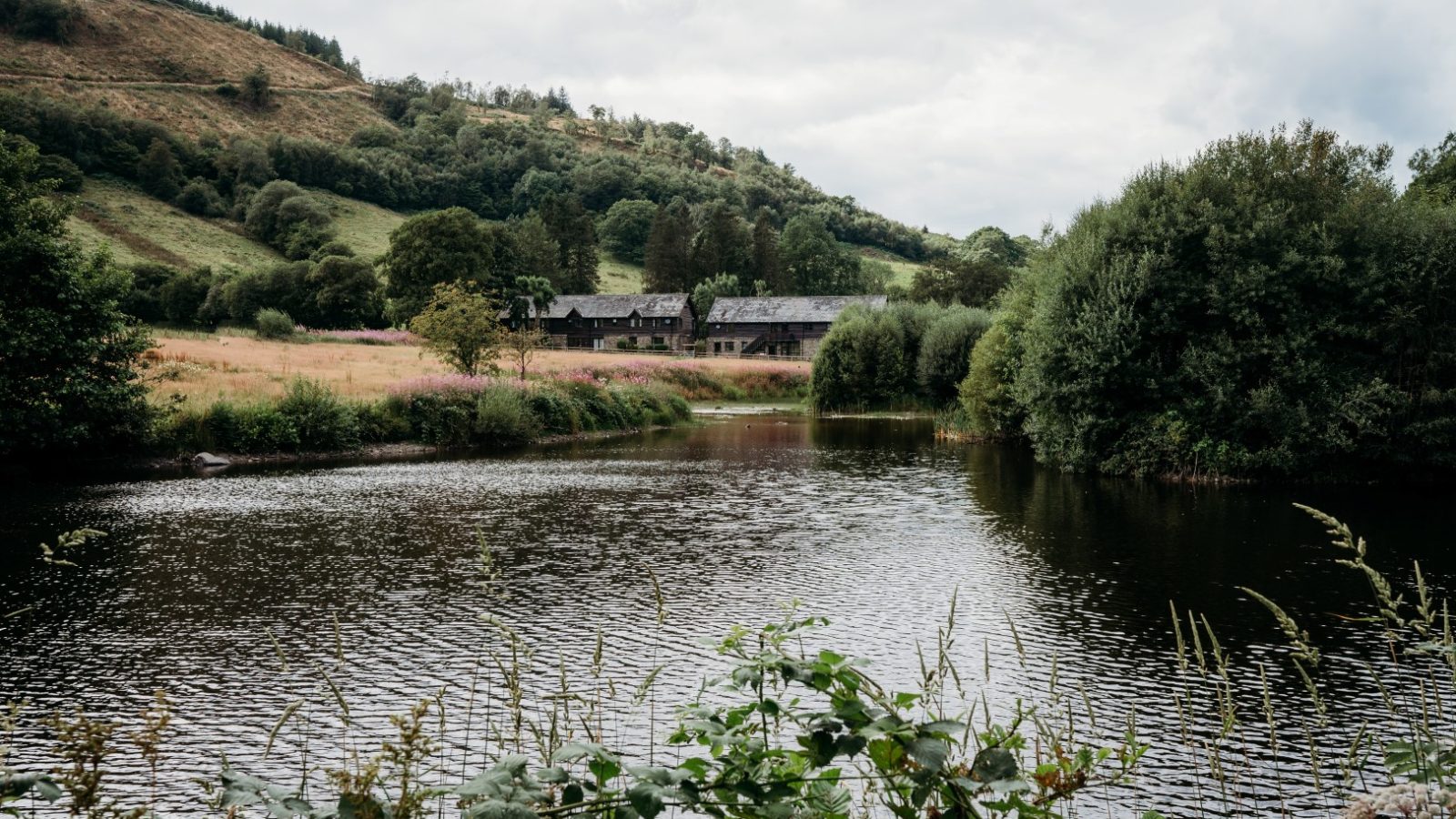 A tranquil pond surrounded by lush greenery and rolling hills under a cloudy sky, reminiscent of the serene ambiance at Cwm Chwefru Cottages. A rustic building is visible in the distance, partially obscured by trees.