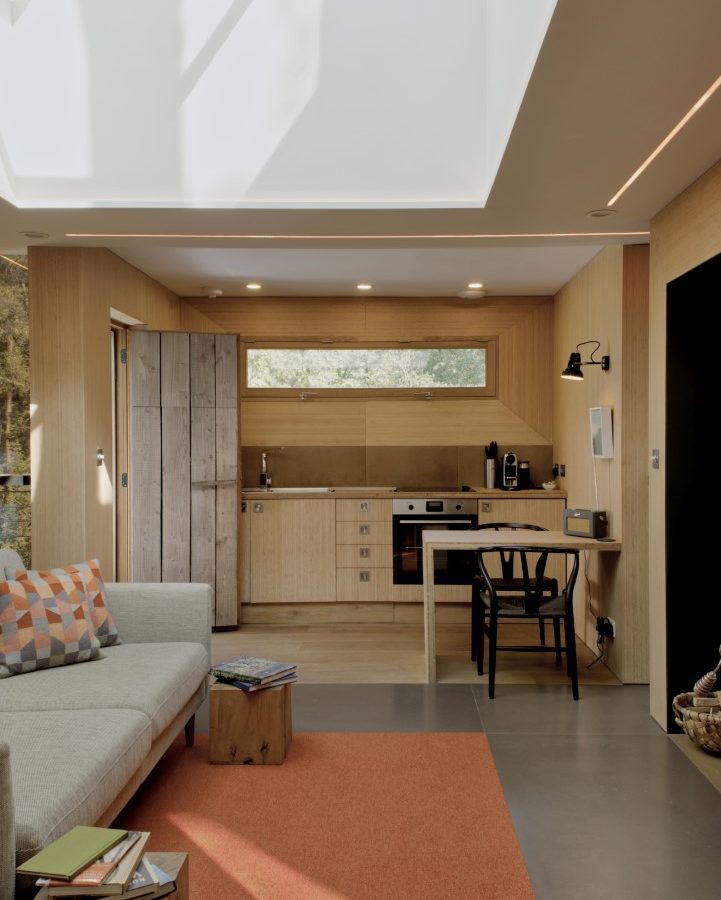 A treehouse-inspired compact modern living area features a cozy sofa, small kitchen, wooden accents, and a large overhead skylight.