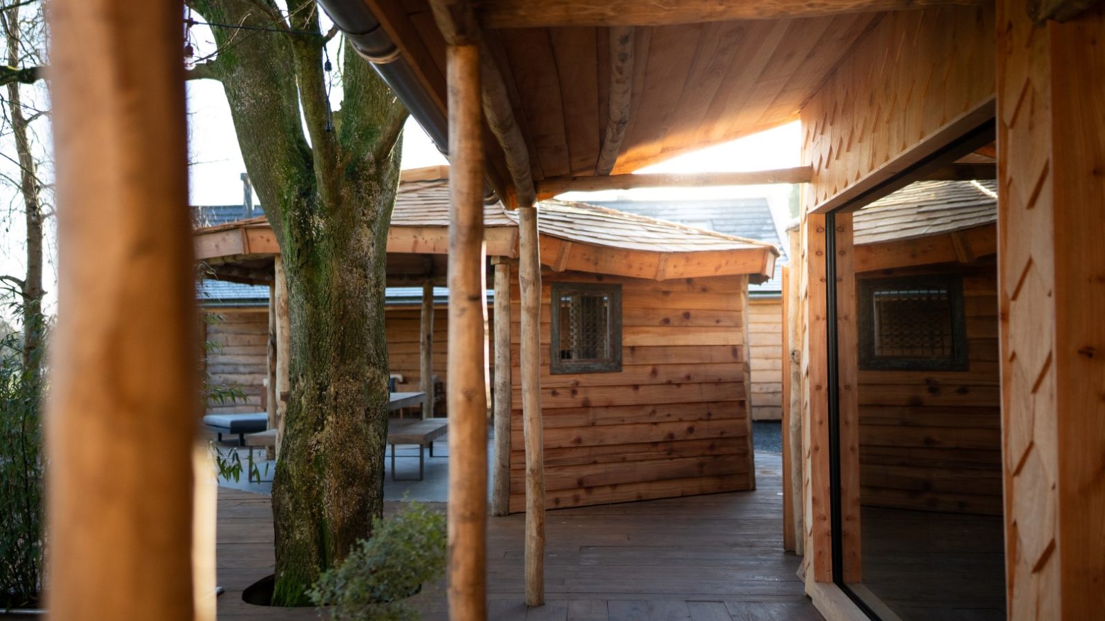 Wooden structures with large windows surround a tree on the deck, overlooking Fenny Castle under a clear sky.