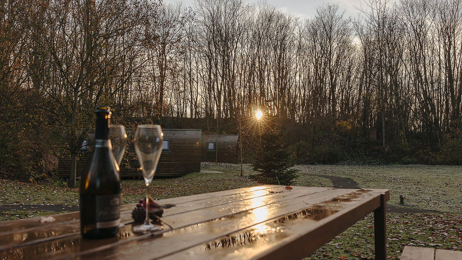 A hewn wooden table with wine glasses and a bottle sits outside near a cabin, surrounded by the leafless trees of Yorkshire, all beneath a setting sun in the background.