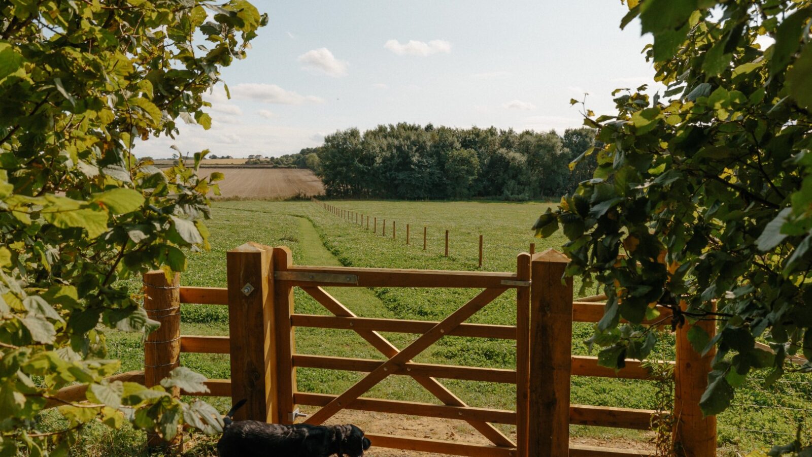 A hewn wooden gate opens to a grassy field, flanked by trees, with a small dog statue in the foreground, reminiscent of Yorkshire's rustic charm.