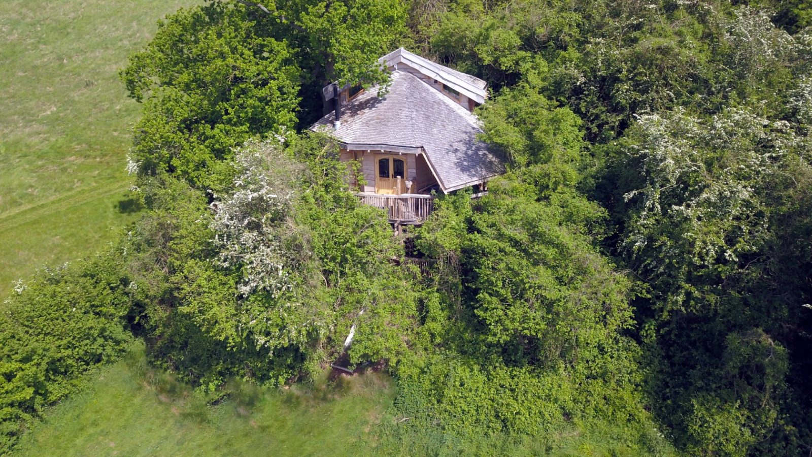 Aerial view of a small wooden house nestled among dense green trees and shrubs, reminiscent of the enchanting One Acre Wood. The house features a pitched roof and a balcony, blending seamlessly into the natural surroundings. Nearby, hand-crafted furniture can be spotted in the grassy area.