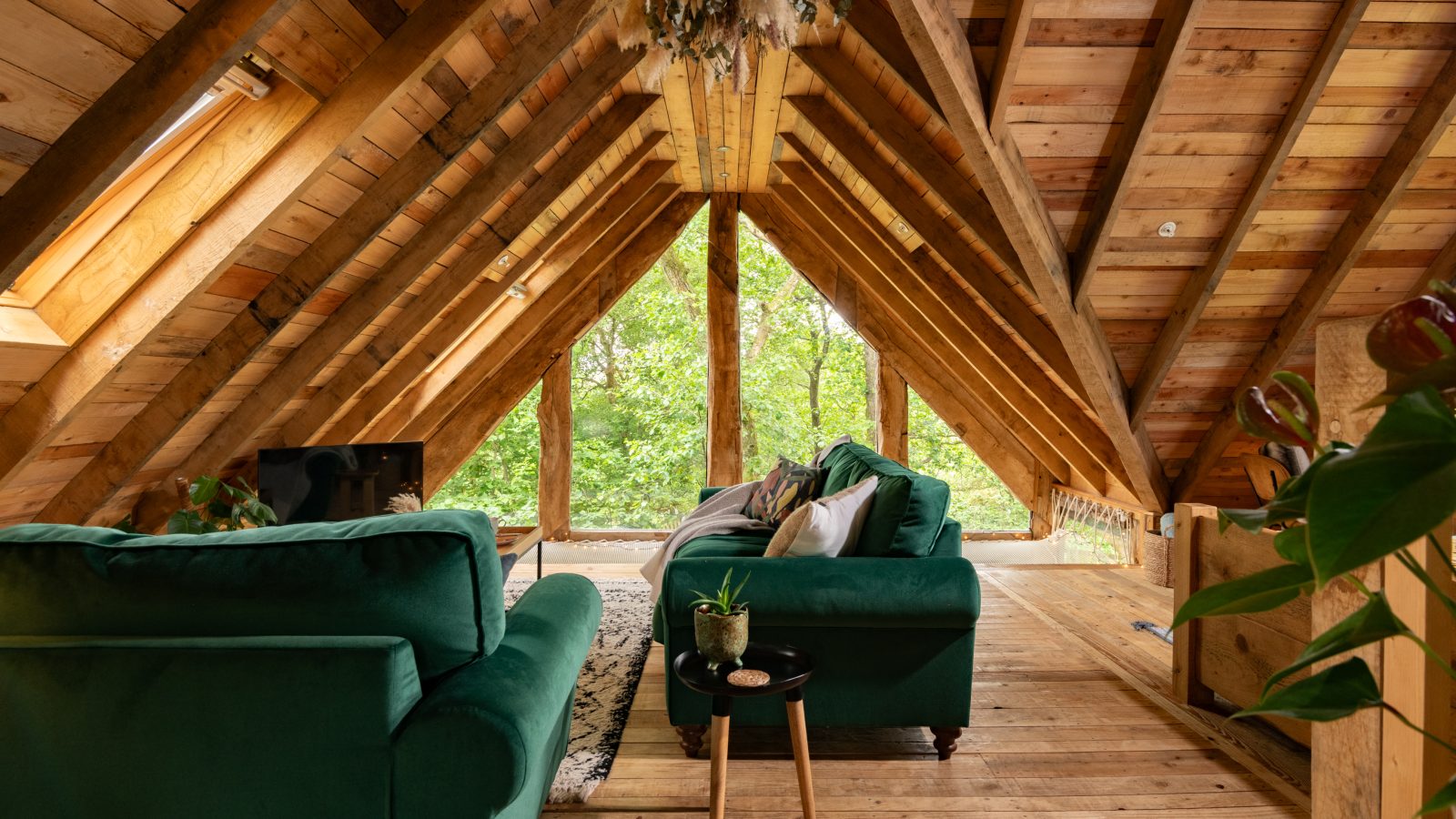 A cozy attic space with wooden beams and flooring, featuring two green sofas facing a TV. Large windows with views of greenery bring in natural light, enhancing the warm, rustic atmosphere. This unique accommodation offers a treehouse rental vibe, with a plant on a small table beside the sofa.