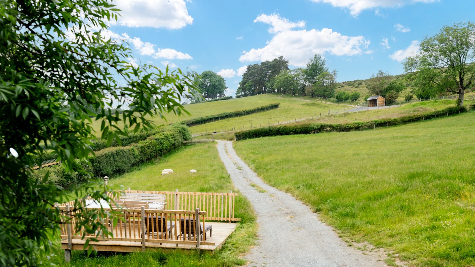 A scenic view of a rural landscape with a winding dirt path leading through lush green fields. A wooden deck offers seating in the foreground, perfect for guests at the unique stays of Prince Llywelyn Treehouse, surrounded by bushes and trees under a partly cloudy blue sky.