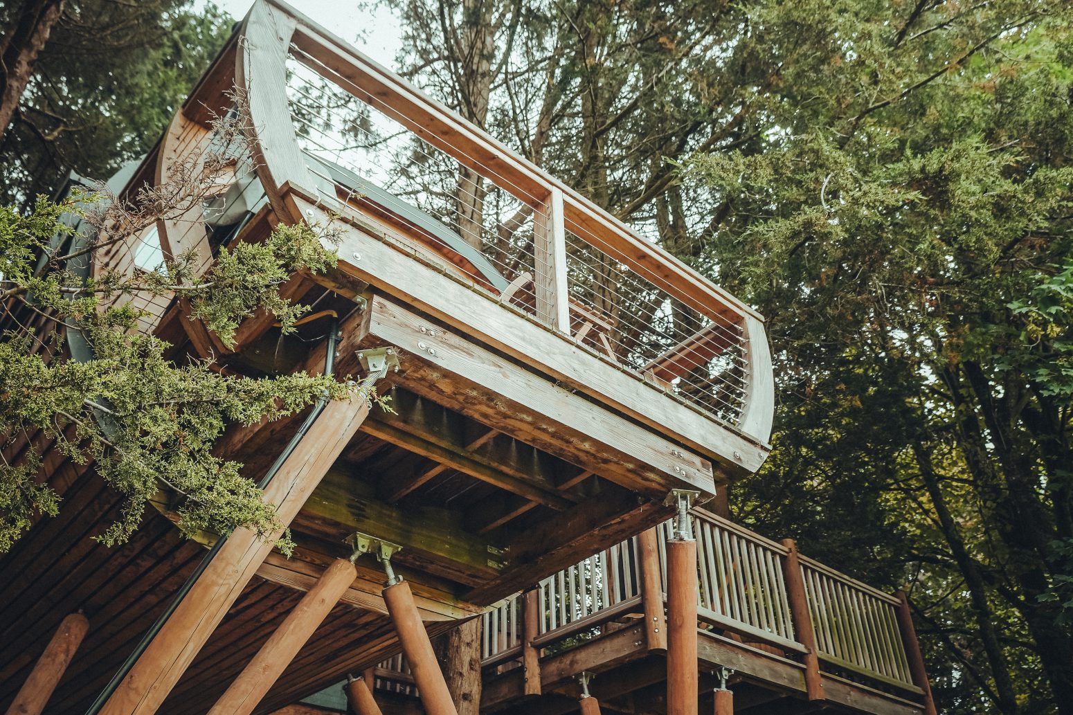 A large wooden treehouse built among tall trees, supported by multiple angled beams and featuring a balcony with a railing. Nestled in a dense, green forest, it exudes a rustic and adventurous feel—perfect for any travel blog or ToWander enthusiast.
