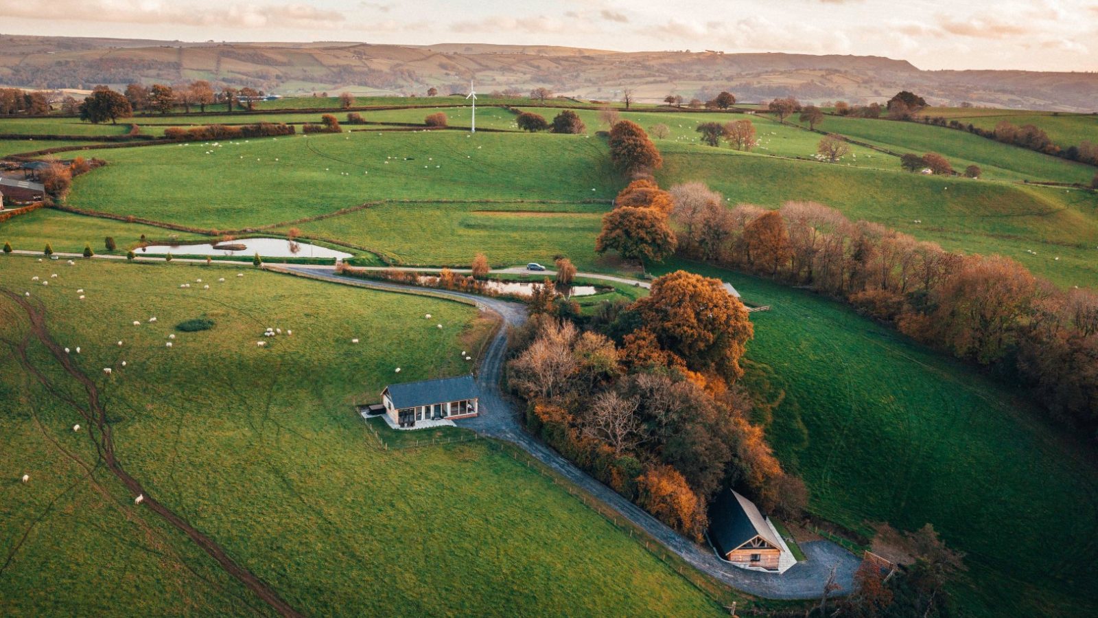 An aerial view of a unique Welsh landscape reveals a few buildings nestled among lush green fields and scattered trees. Sheep graze peacefully as rolling hills stretch into the distance beneath a cloudy sky, offering stays that embrace serenity and charm.