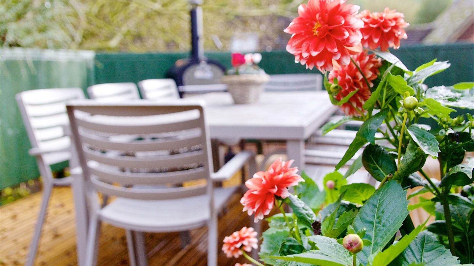 Close-up of blooming flowers in the foreground with a blurred patio table, chairs, and outdoor stove in the background, capturing the serene charm of Georges Getaway.