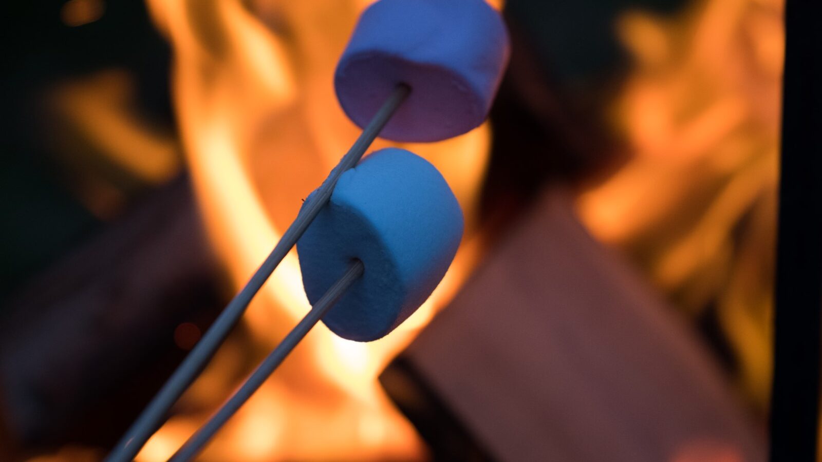 Two marshmallows on skewers are being roasted over an open campfire at Sloeberry Farm, with flames dancing in the background.