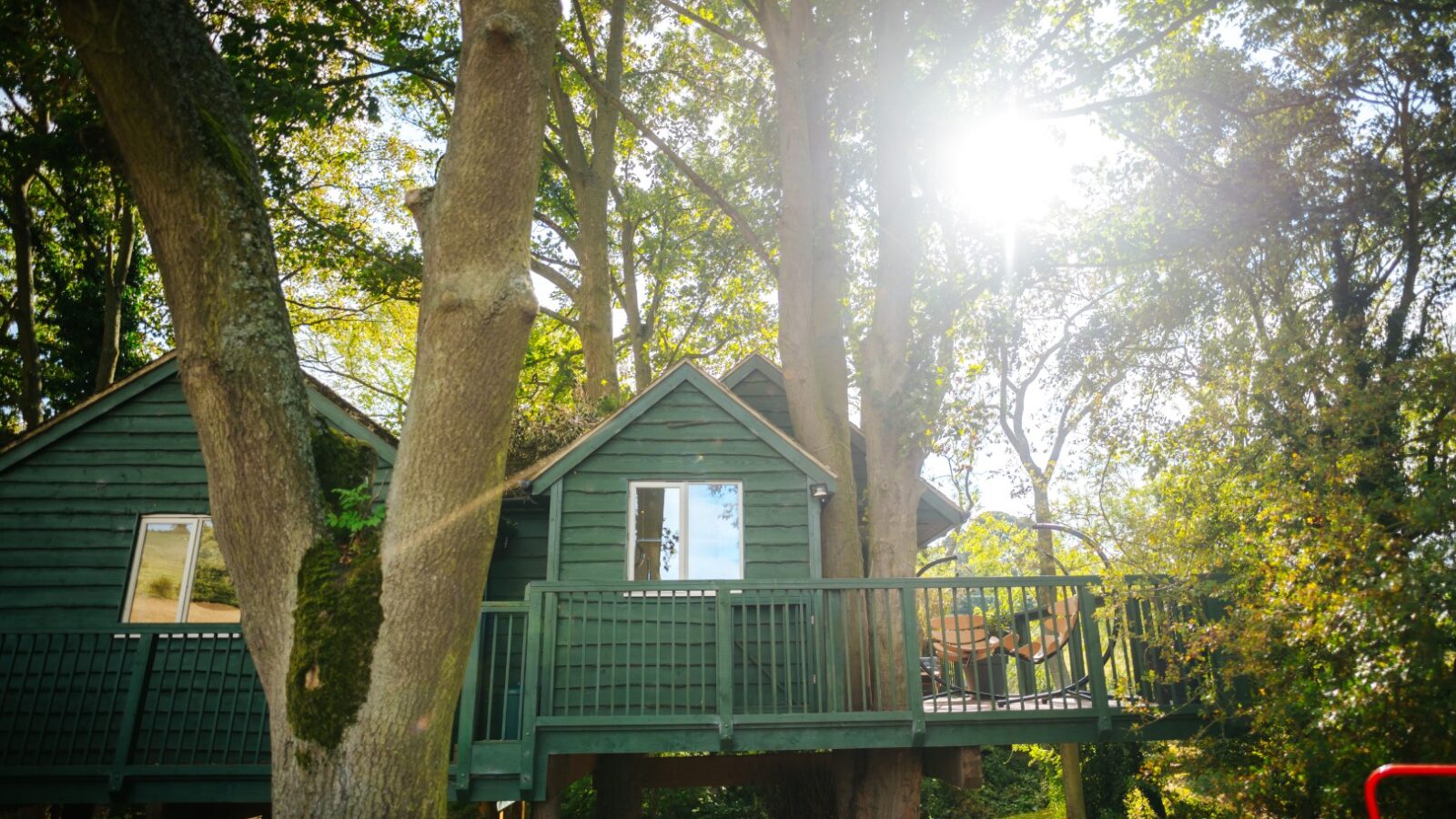 Wills Treehouse, with its charming porch, stands nestled among tall trees. Sunlight filters through the canopy, creating a serene atmosphere in this green hideaway.