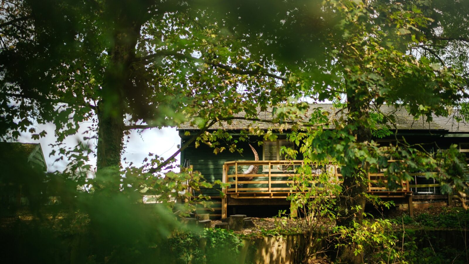 A charming wooden lodge nestled among lush green trees, featuring a wooden deck in the foreground with dappled sunlight filtering through the branches.