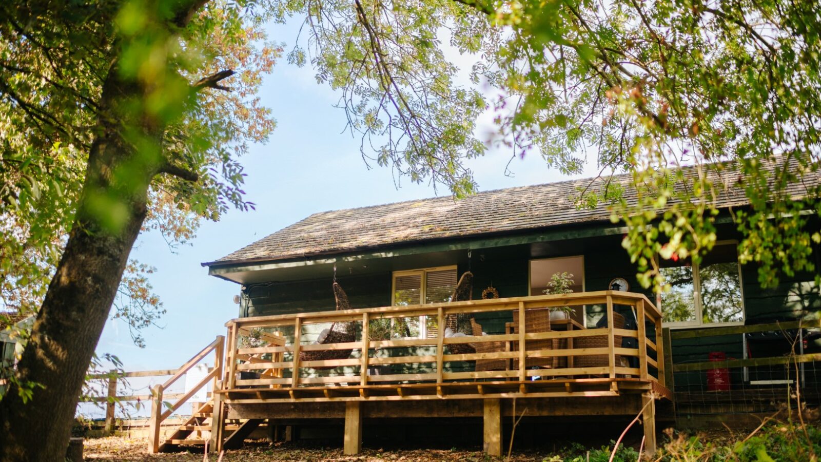 The charming Chicken Shed Lodge features a wooden cabin with a raised deck, nestled among trees on a sunny day.