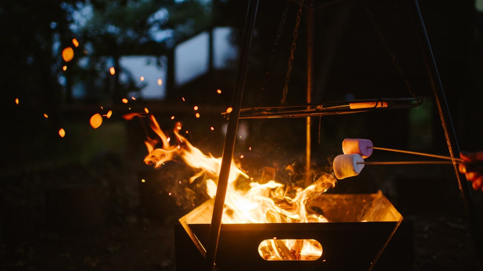 Toasting marshmallows over a campfire at dusk outside Chicken Shed Lodge, with sparks and flames rising into the evening air.