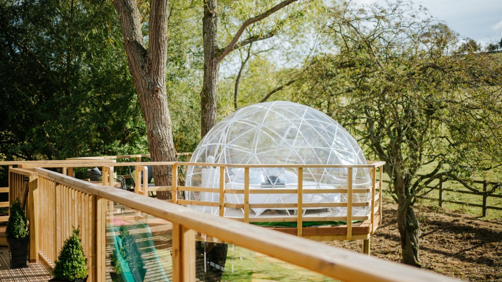 Nestled amidst lush trees, Bobs Lodge boasts a clear domed structure on a wooden deck, revealing a cozy bed inside.